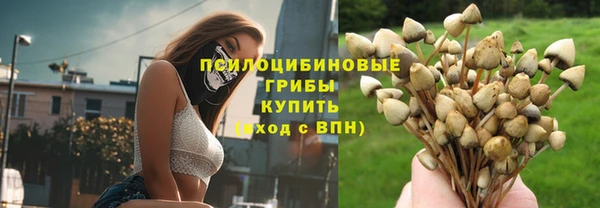 spice Абдулино