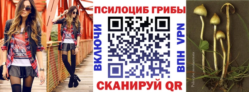 Псилоцибиновые грибы прущие грибы omg как войти Углегорск